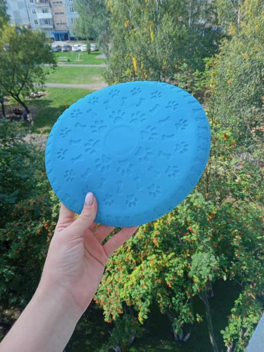 Фотография покупателя товара Фрисби "Косточки и лапки", 18,6 см, термопластичная резина, голубой