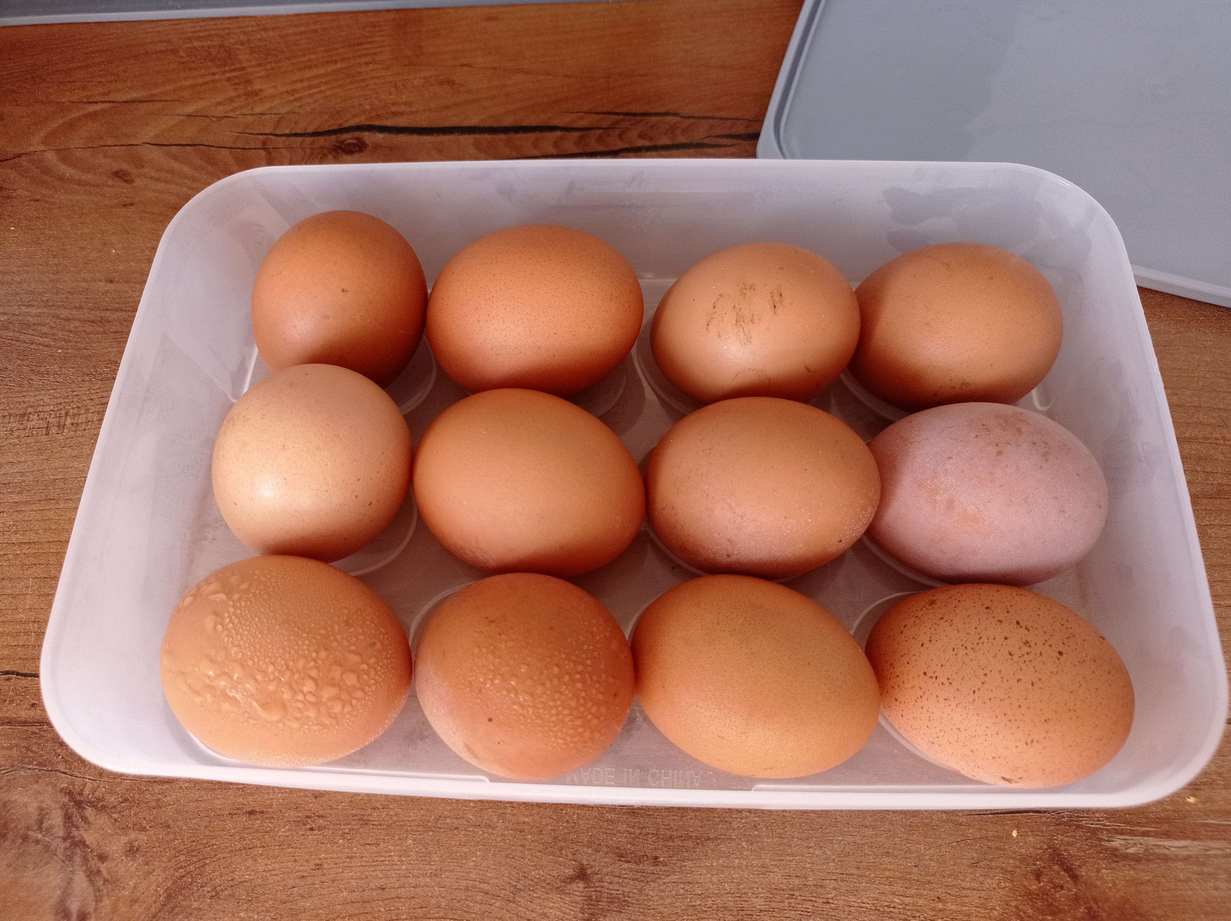 Фотография покупателя товара Набор контейнеров для яиц, 2 шт, 22,5×15×7,5 см, цвет МИКС - Фото 1