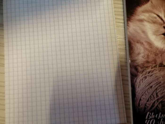 Фотография покупателя товара Блокнот А5, 40 листов на гребне "Кошки", МИКС - Фото 3