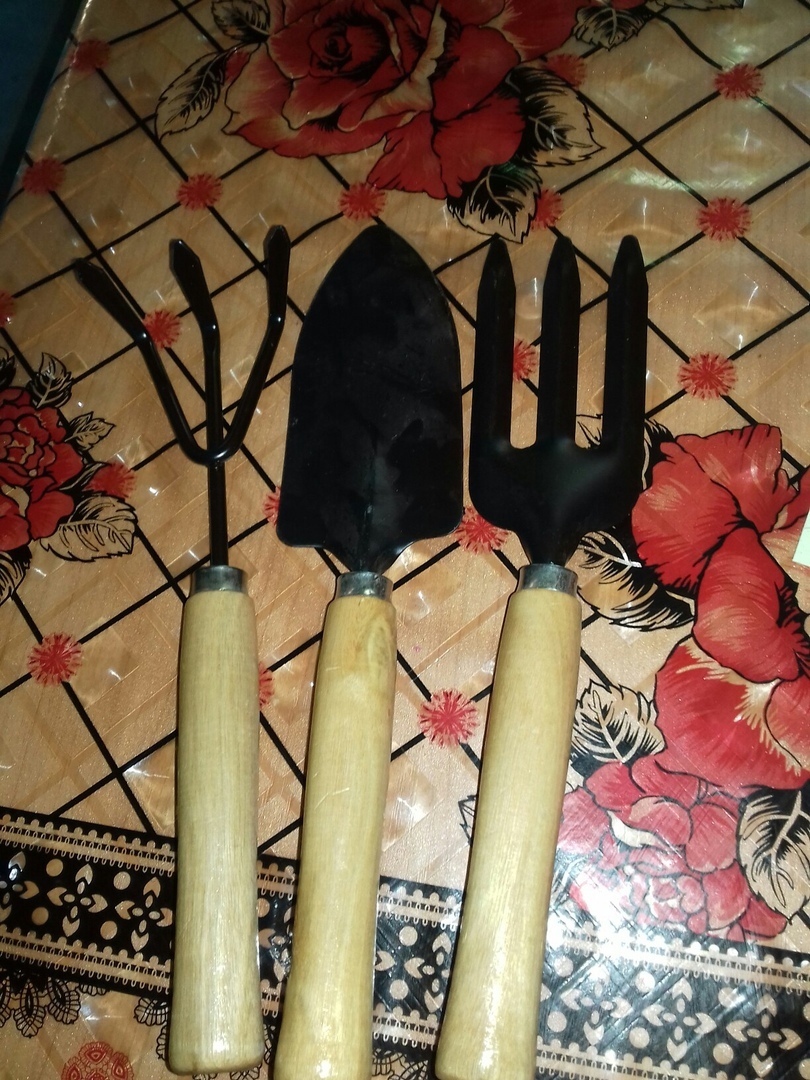 Фотография покупателя товара Набор садового инструмента, 3 предмета: совок, рыхлитель, вилка, длина 24 см, деревянные ручки - Фото 1