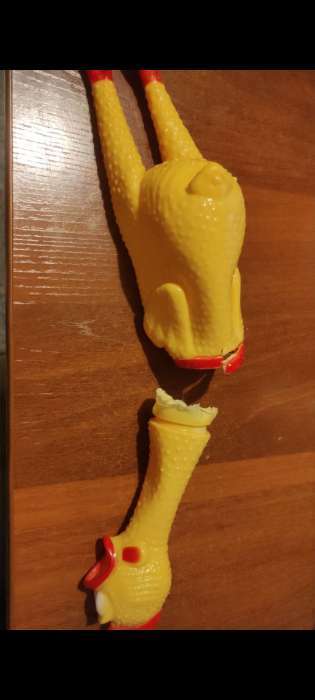 Фотография покупателя товара Игрушка пищащая "Задумчивая курица XL" для собак, 41 см, жёлтая