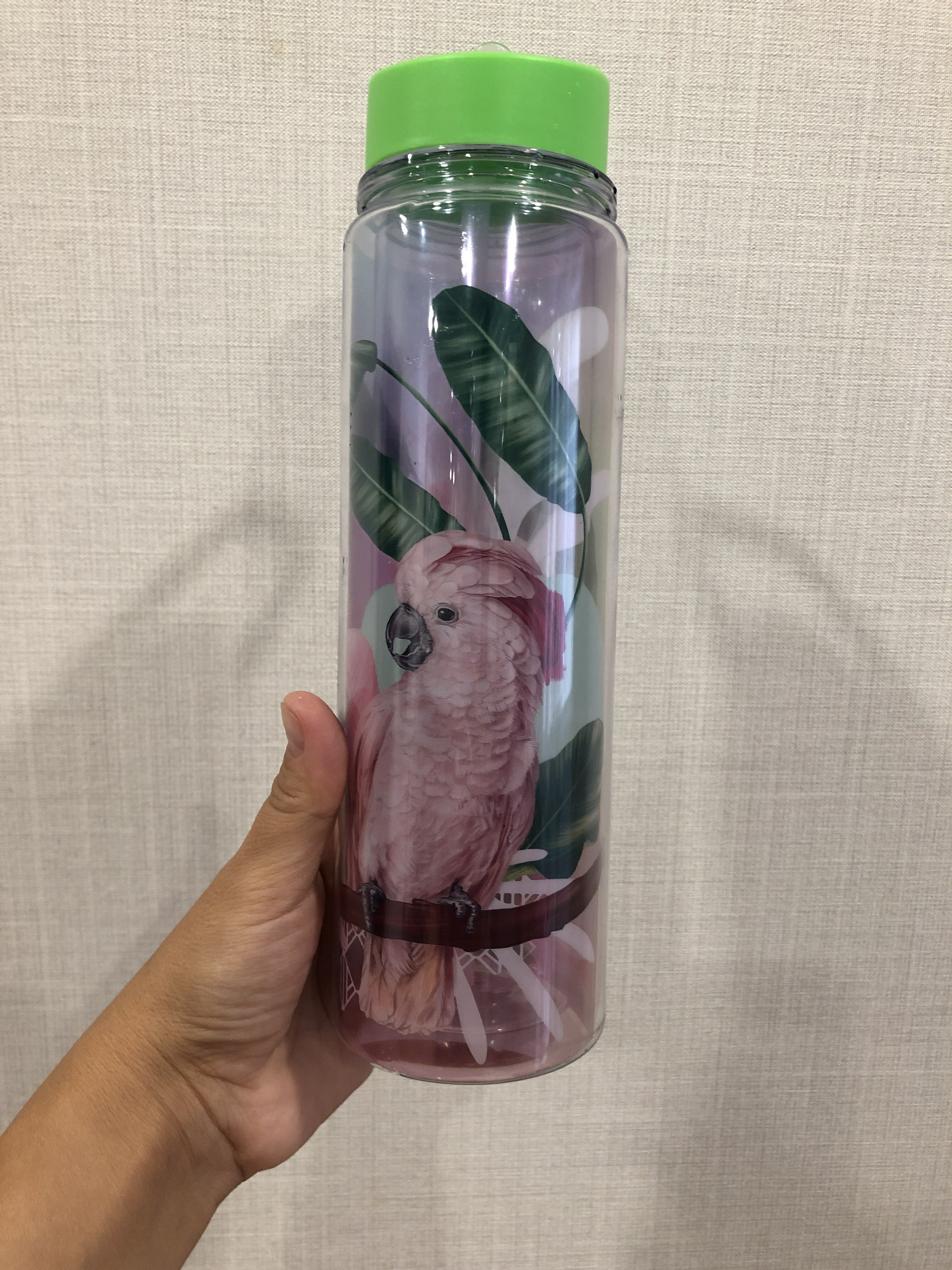 Фотография покупателя товара Бутылка для воды «Попугай», 550 мл