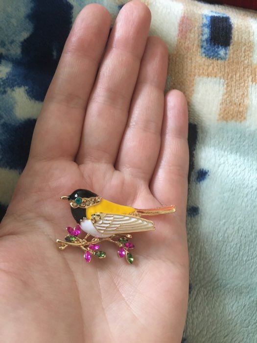 Фотография покупателя товара Брошь «Птичка-синичка», цветная жёлтый в золоте