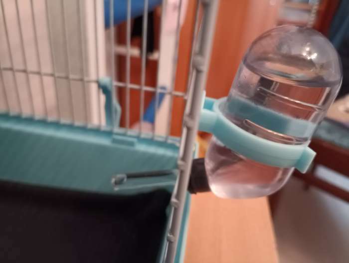 Фотография покупателя товара Клетка для грызунов "Пижон", 47 х 30 х 30 см, голубая - Фото 2