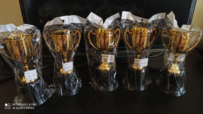 Фотография покупателя товара УЦЕНКА Кубок 036А, наградная фигура, золото, подставка пластик, 22,7 × 11,8 × 9 см.