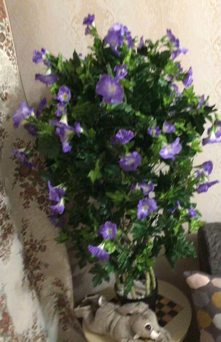 Фотография покупателя товара Дерево искусственное "Ипомея цветы голубые" 110 см - Фото 2