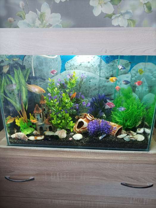 Фотография покупателя товара Набор растений искусственных для аквариума (2 шт), 25 см, фиолетовый - Фото 4