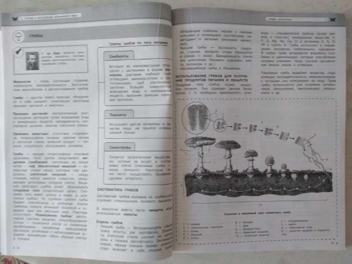 Фотография покупателя товара Справочник. Биология. Мазур О. Ч. - Фото 1