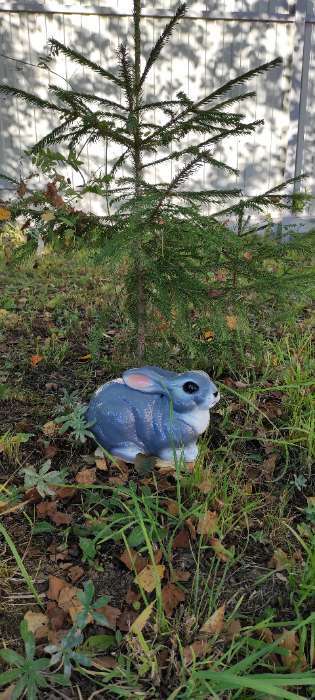 Фотография покупателя товара Садовая фигура "Заяц", глянец, серый цвет, 17 см, микс