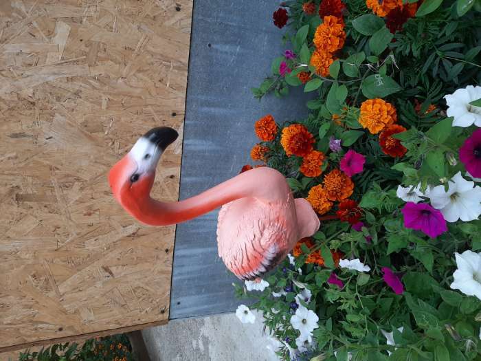 Фотография покупателя товара Садовая фигура "Фламинго" малый 36х13х75см - Фото 4
