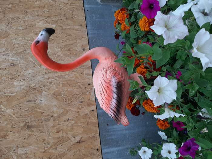 Фотография покупателя товара Садовая фигура "Фламинго" малый 36х13х75см - Фото 3