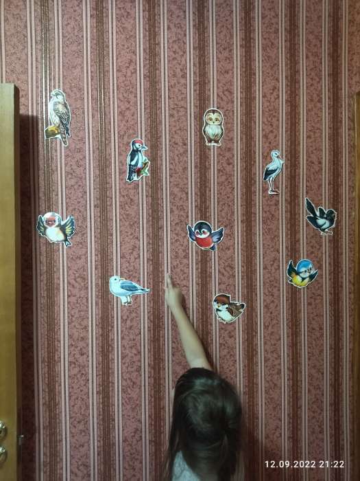 Фотография покупателя товара Комплект украшений "Веселые птички" на скотче, 10 видов, 12 х 12 см
