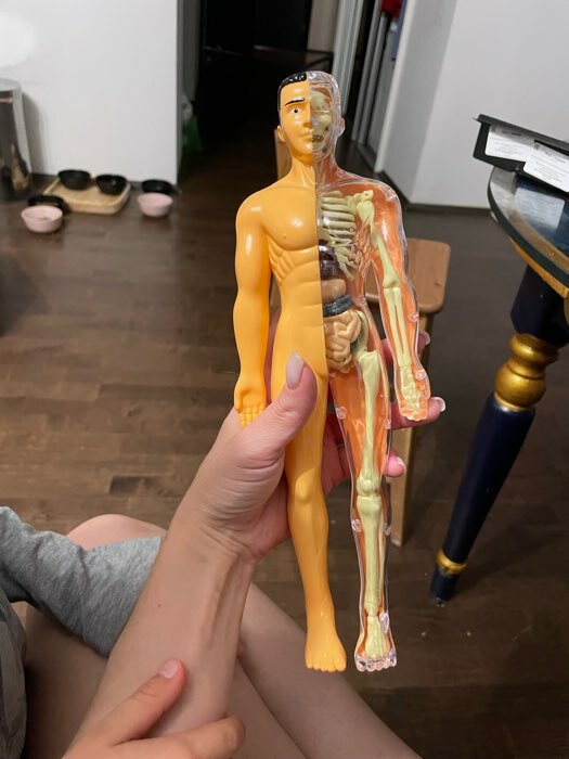 Фотография покупателя товара Набор для опытов «Анатомия человека» - Фото 1