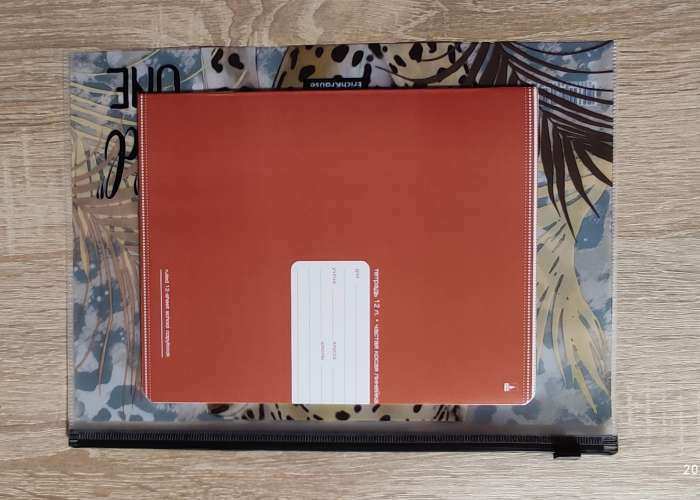 Фотография покупателя товара Папка-конверт на ZIP-молнии B5, 160 мкм, ErichKrause, Wild Cat, глянцевая, полупрозрачная, с принтом - Фото 2