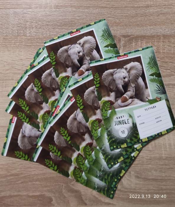 Фотография покупателя товара Тетрадь 12 листов в клетку ErichKrause Baby Jungle, обложка мелованный картон, блок офсет, МИКС (1 вид в спайке) - Фото 2