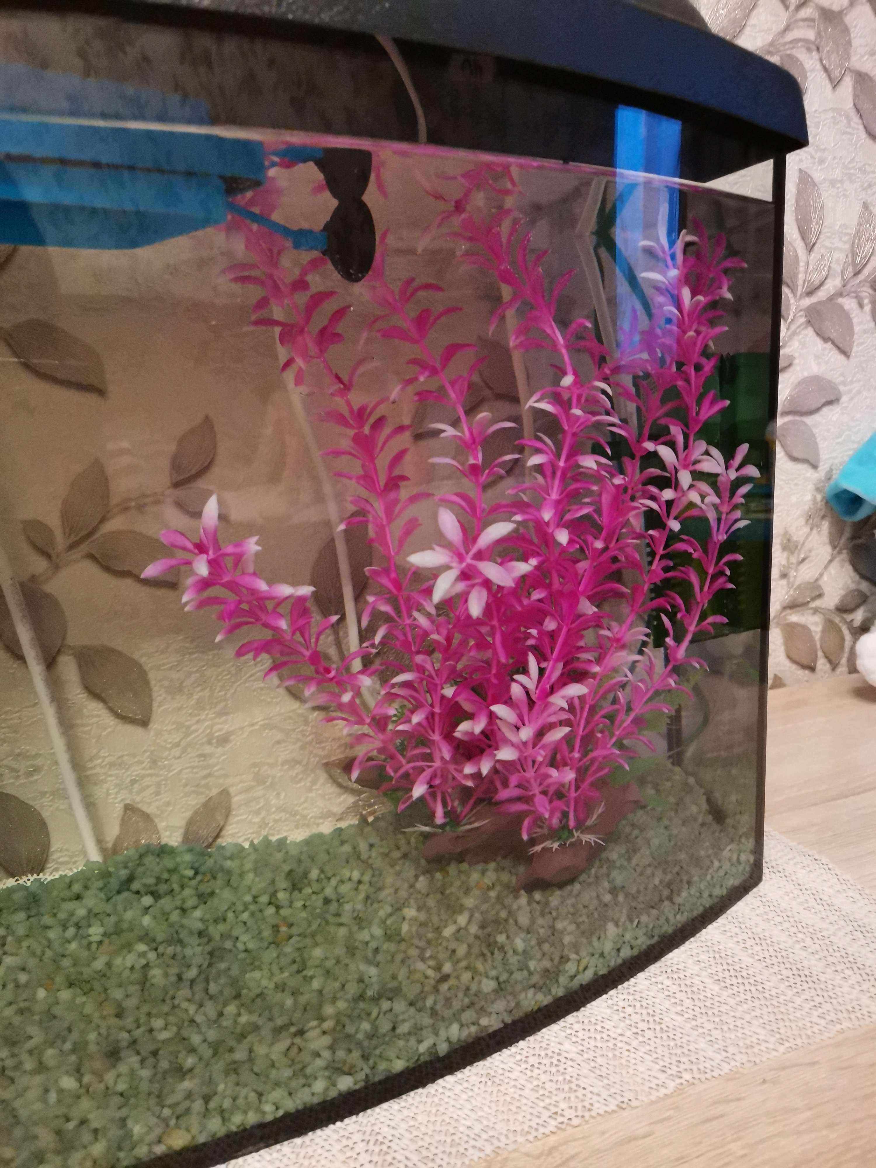 Фотография покупателя товара Растение искусственное аквариумное на платформе в виде коряги, 30 см, розовое - Фото 1