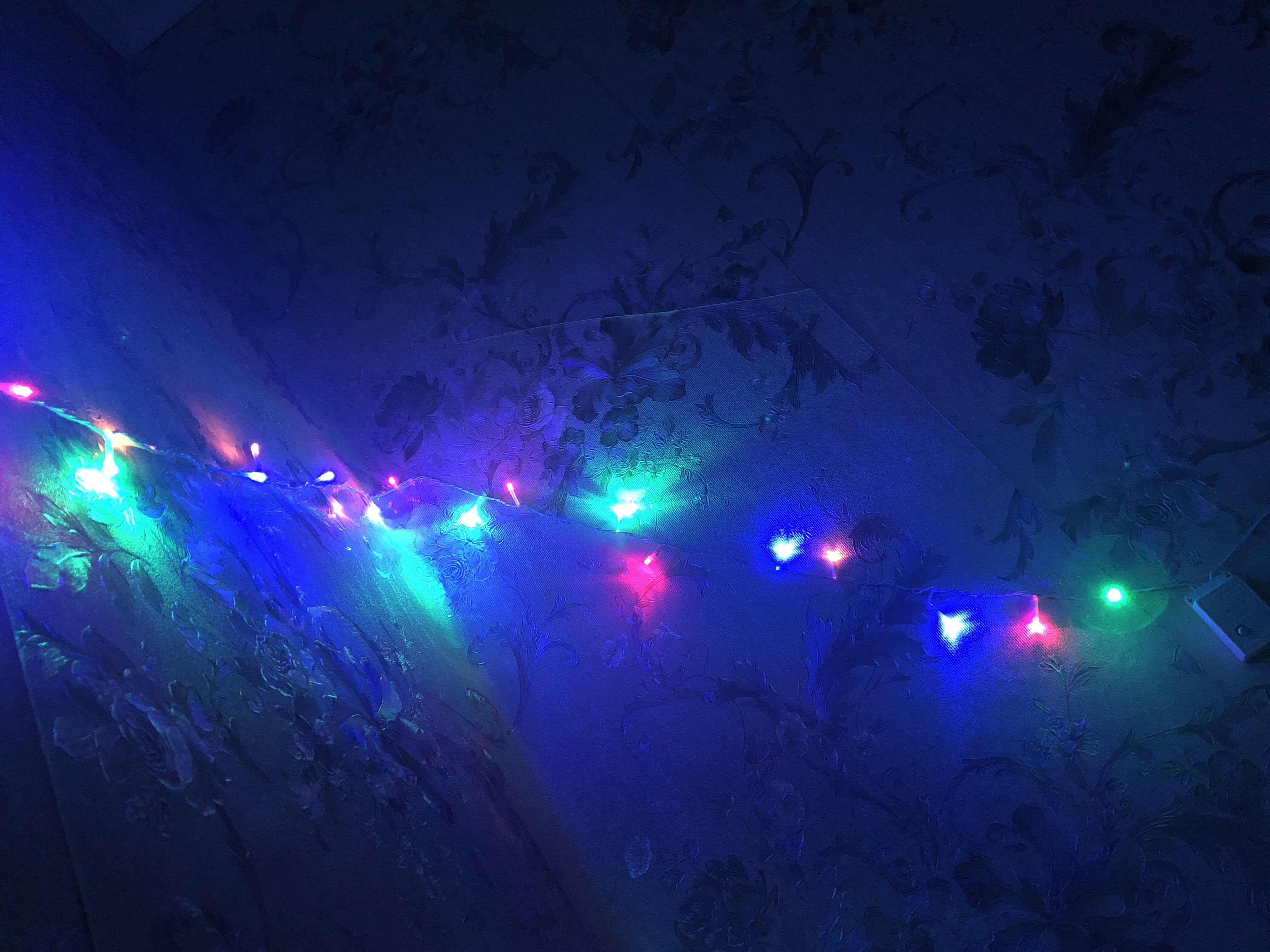 Фотография покупателя товара Гирлянда «Нить» 5 м, IP20, белая нить, 50 LED, свечение белое, 8 режимов, 220 В - Фото 7