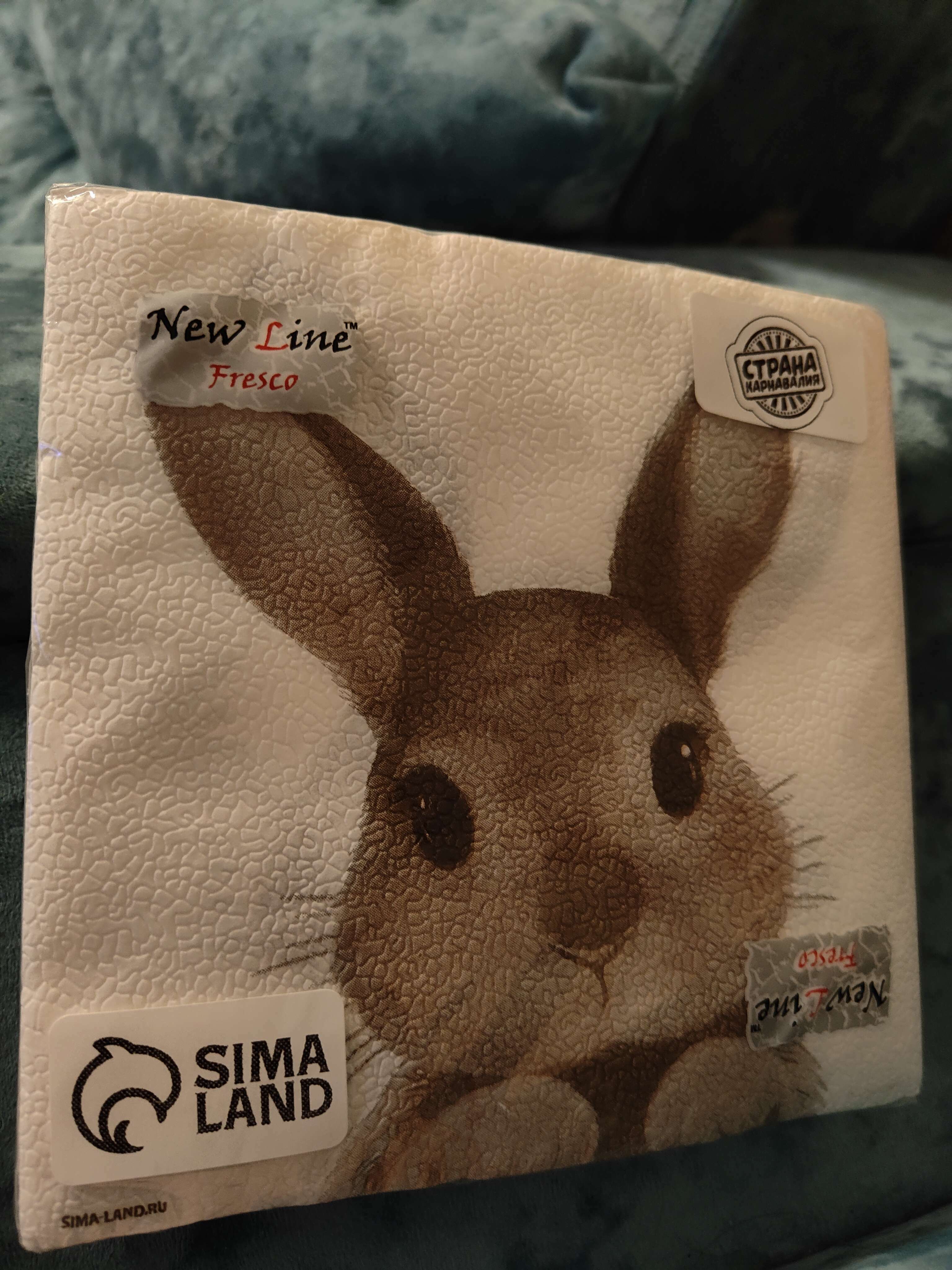 Фотография покупателя товара Салфетки бумажные однослойные «Кролик», 33 х 33 см, набор 20 штук - Фото 1