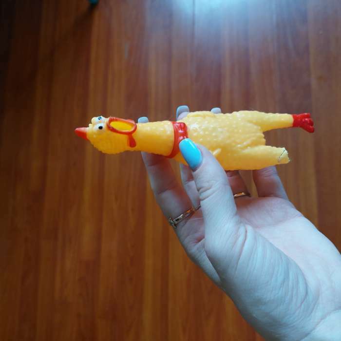 Фотография покупателя товара Игрушка пищащая "Задумчивая курица" малая для собак, 16,5 см, чёрная - Фото 7