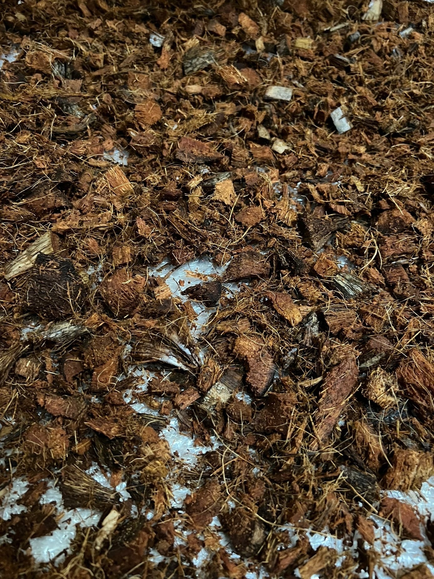 Фотография покупателя товара Субстрат Greengo кокосовые чипсы, натуральный грунт для террариумов и растений, в брикете, 5 л при разбухании