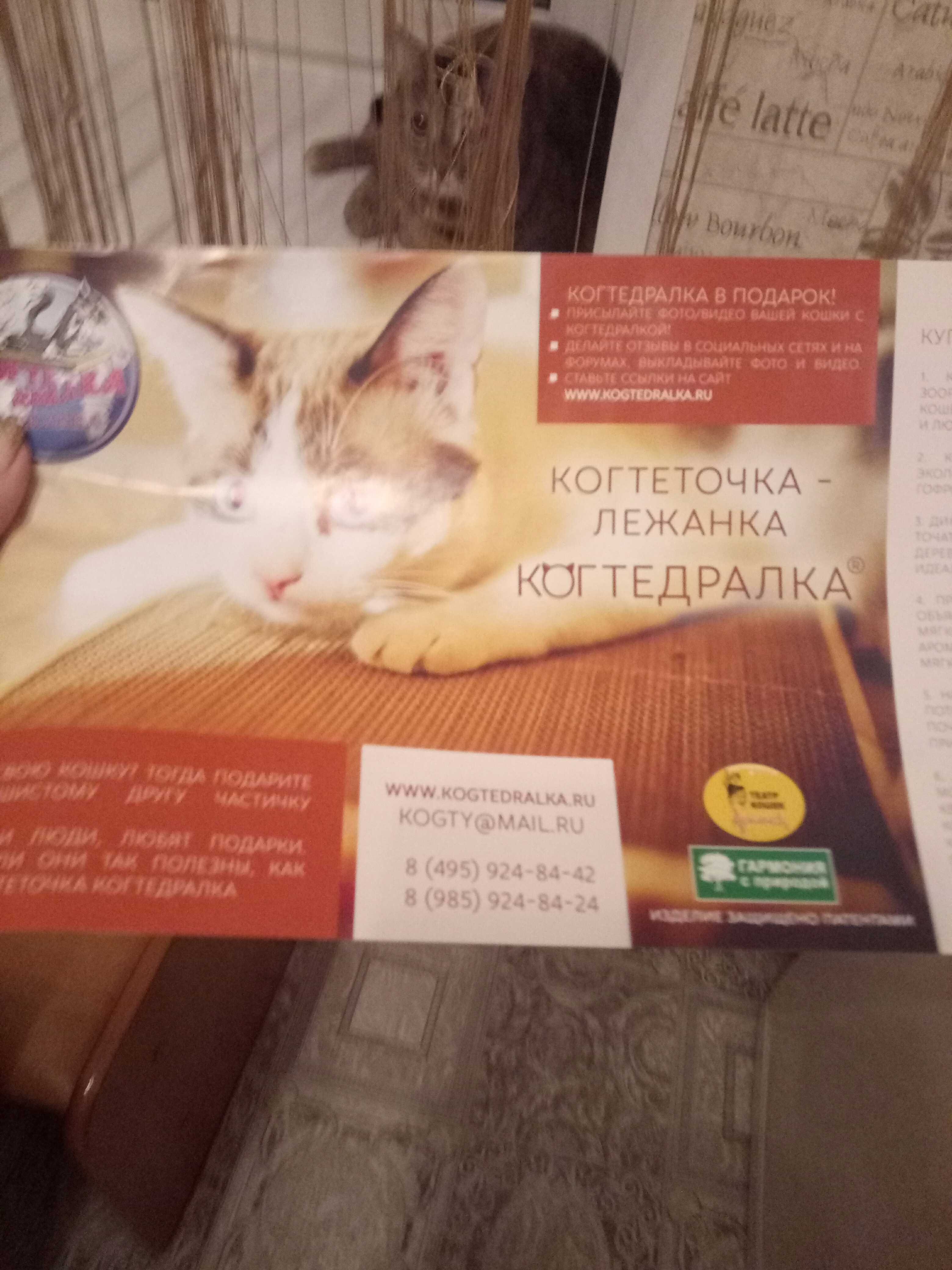 Фотография покупателя товара Домашняя когтеточка-лежанка для кошек, 50 x 24 см - Фото 26