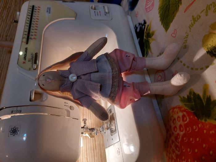 Фотография покупателя товара Мягкая игрушка «Домашняя зайка Моника», набор для шитья, 18 × 22.5 × 2см - Фото 2