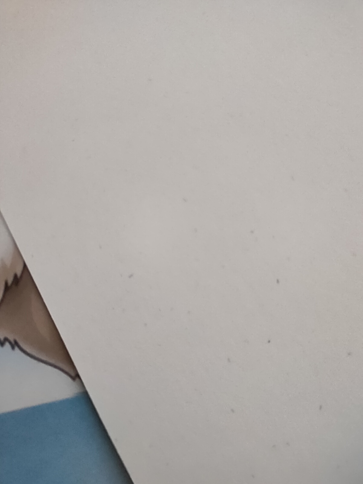 Фотография покупателя товара Картон белый А4, 8 листов "Мишки на полюсе", мелованный, целлюлозный, 230 г/м2 - Фото 11