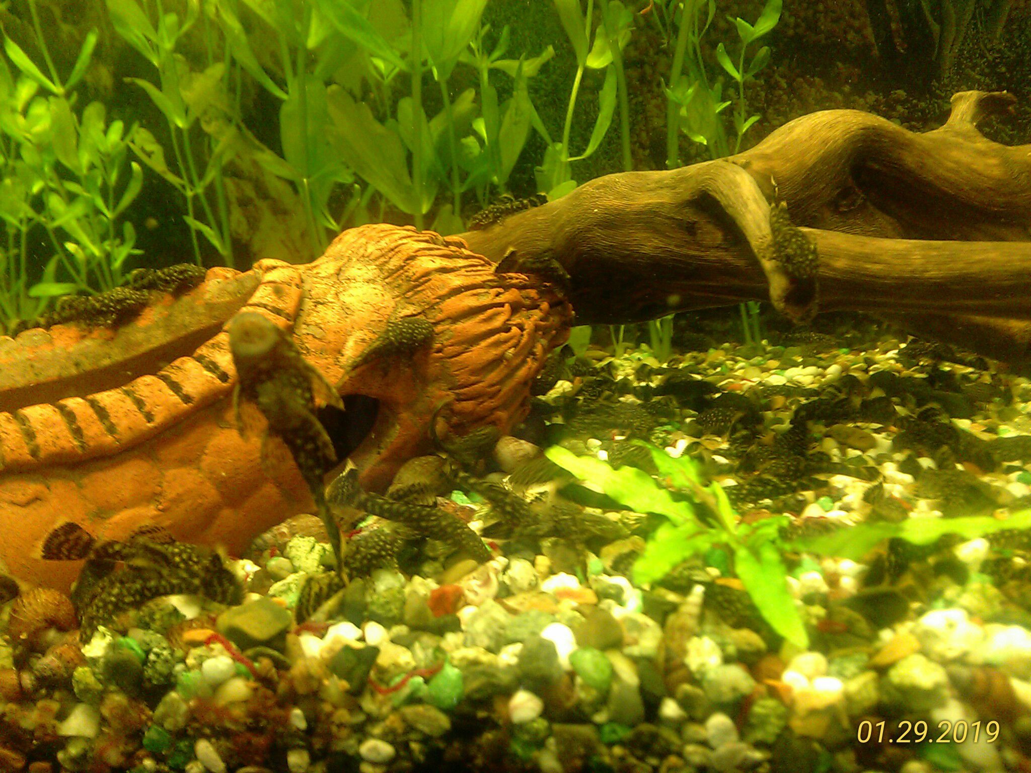 Фотография покупателя товара Мини Корм повседневный для аквариумов со смешанным сообществом, 15 гр, 25 мл