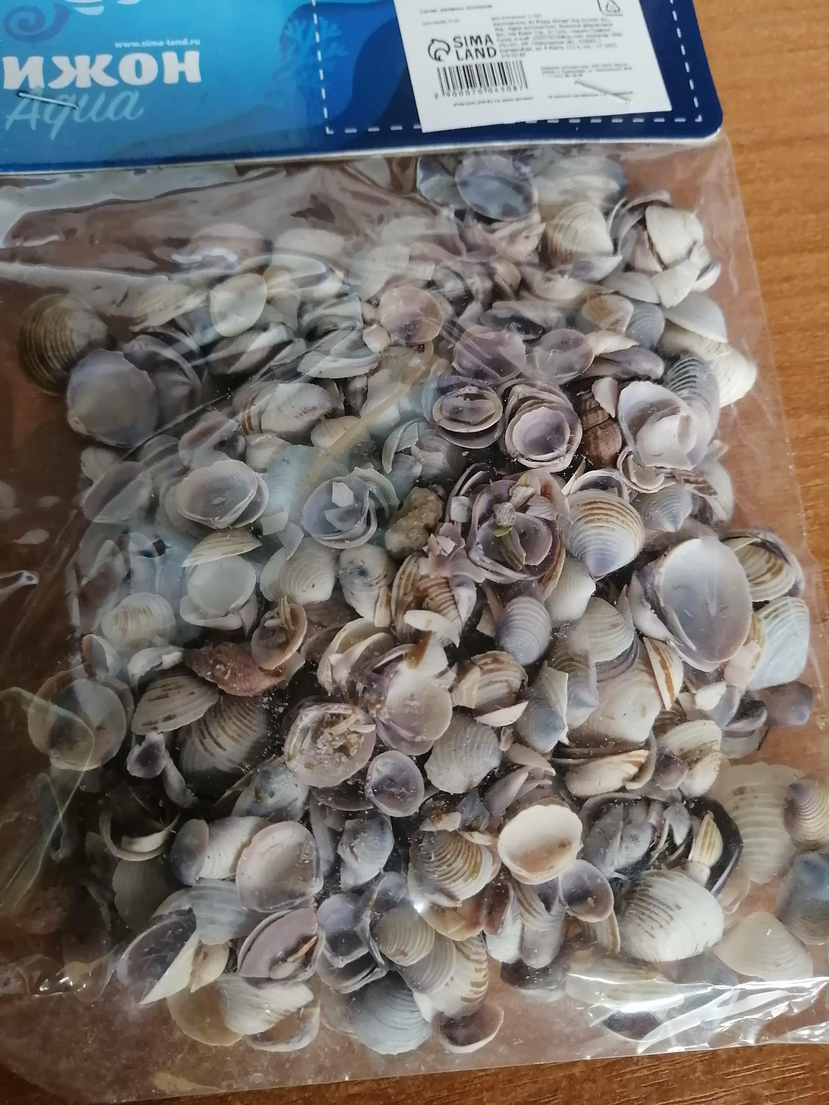 Фотография покупателя товара Набор ракушек Rose petal tellin, 100 г - Фото 2