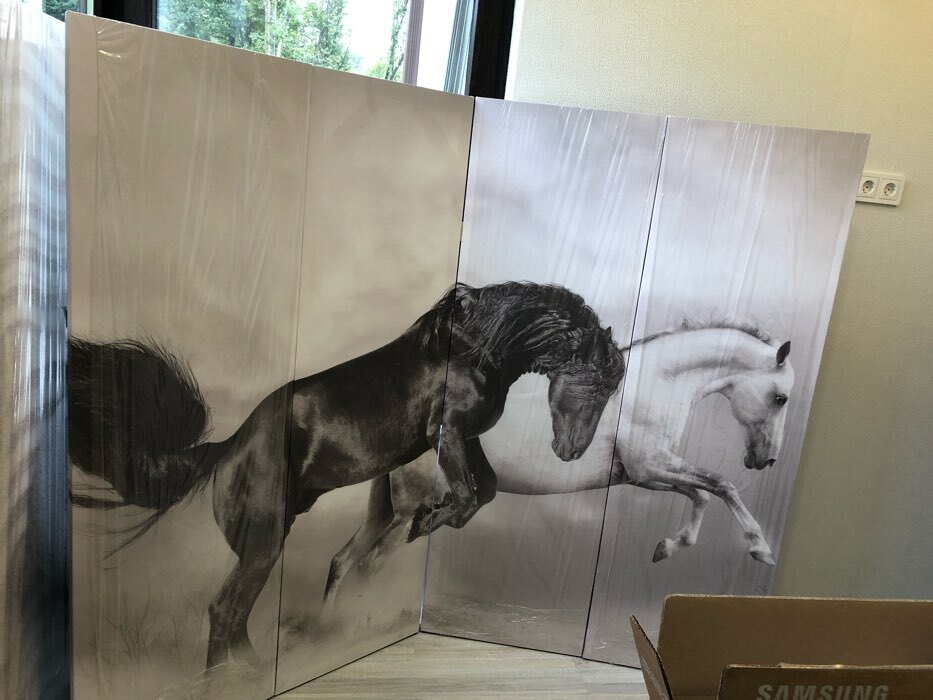 Фотография покупателя товара Ширма "Чёрно-белые лошади", 200 х 160 см - Фото 1