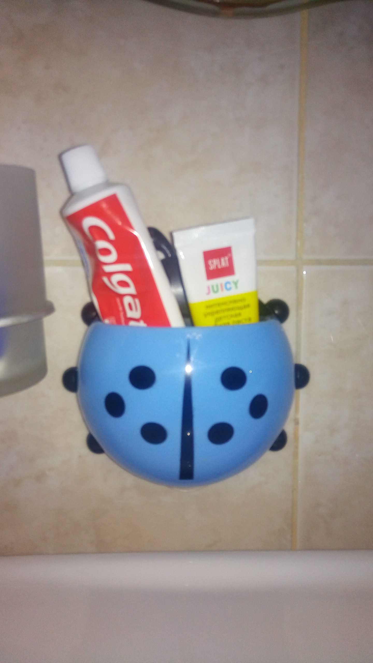 Фотография покупателя товара Держатель для зубных щёток на присоске «Божья коровка», цвет голубой - Фото 3