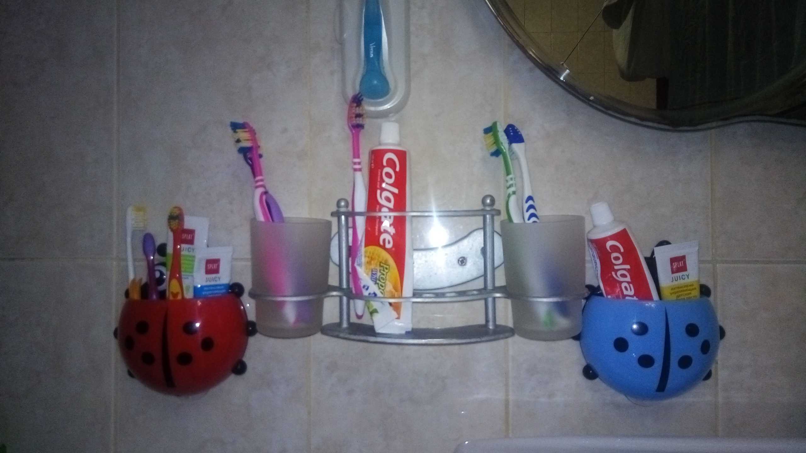 Фотография покупателя товара Держатель для зубных щёток детский «Божья коровка», на присосках, цвет красный