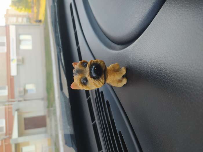 Фотография покупателя товара Собака на панель авто, качающая головой, ирландский терьер - Фото 1