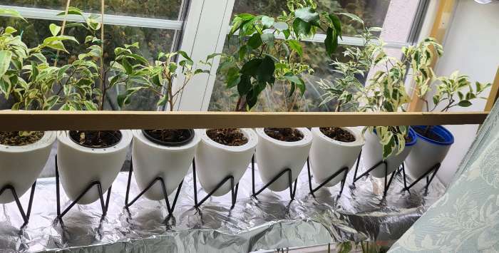 Фотография покупателя товара Кашпо с подставкой «Акцент», 11,2×11×12,5 см, цвет белый - Фото 1