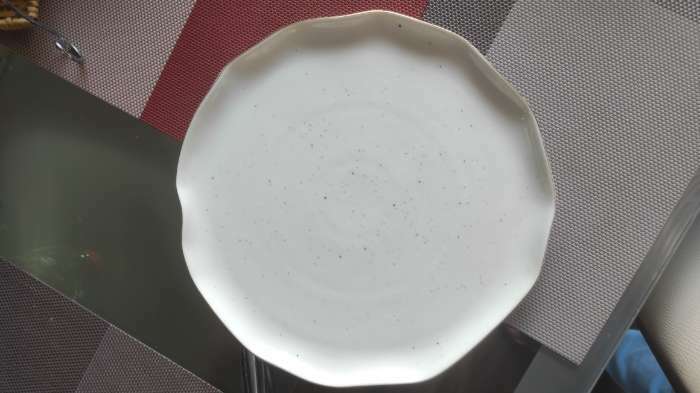 Фотография покупателя товара Тарелка фарфоровая обеденная Доляна «Млечный путь», d=25 см, цвет белый в крапинку - Фото 2
