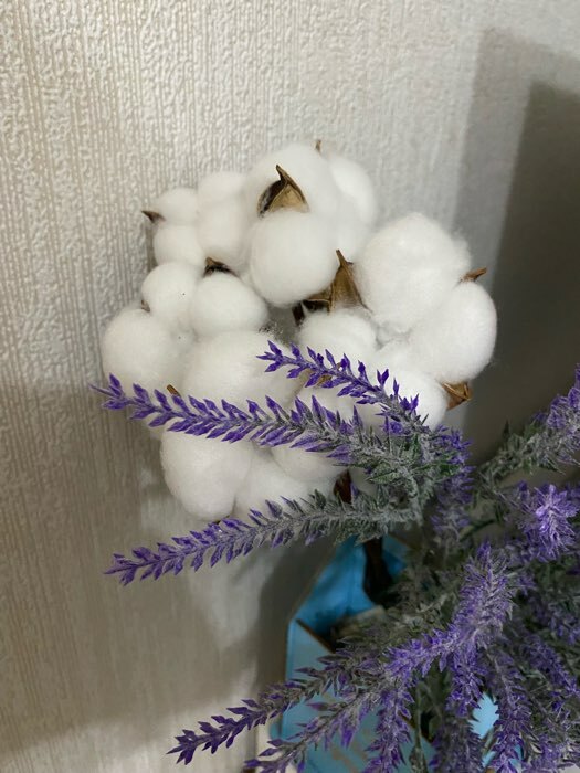 Фотография покупателя товара Декор сухоцвет "Хлопок" d-5 см, 30 см, белый