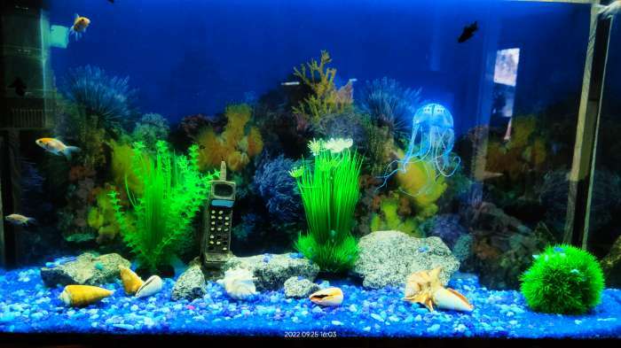 Фотография покупателя товара Декор для аквариума "Медуза" силиконовая, флуоресцентная, 5 х 5 х 15 см, синяя - Фото 1