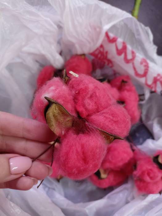 Фотография покупателя товара Декор сухоцвет "Хлопок" d-5 см, 5 см, красный