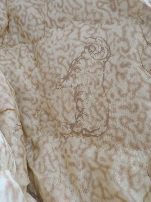 Фотография покупателя товара Одеяло облегчённое Адамас "Овечья шерсть", размер 172х205 ± 5 см, 200гр/м2, чехол п/э - Фото 5