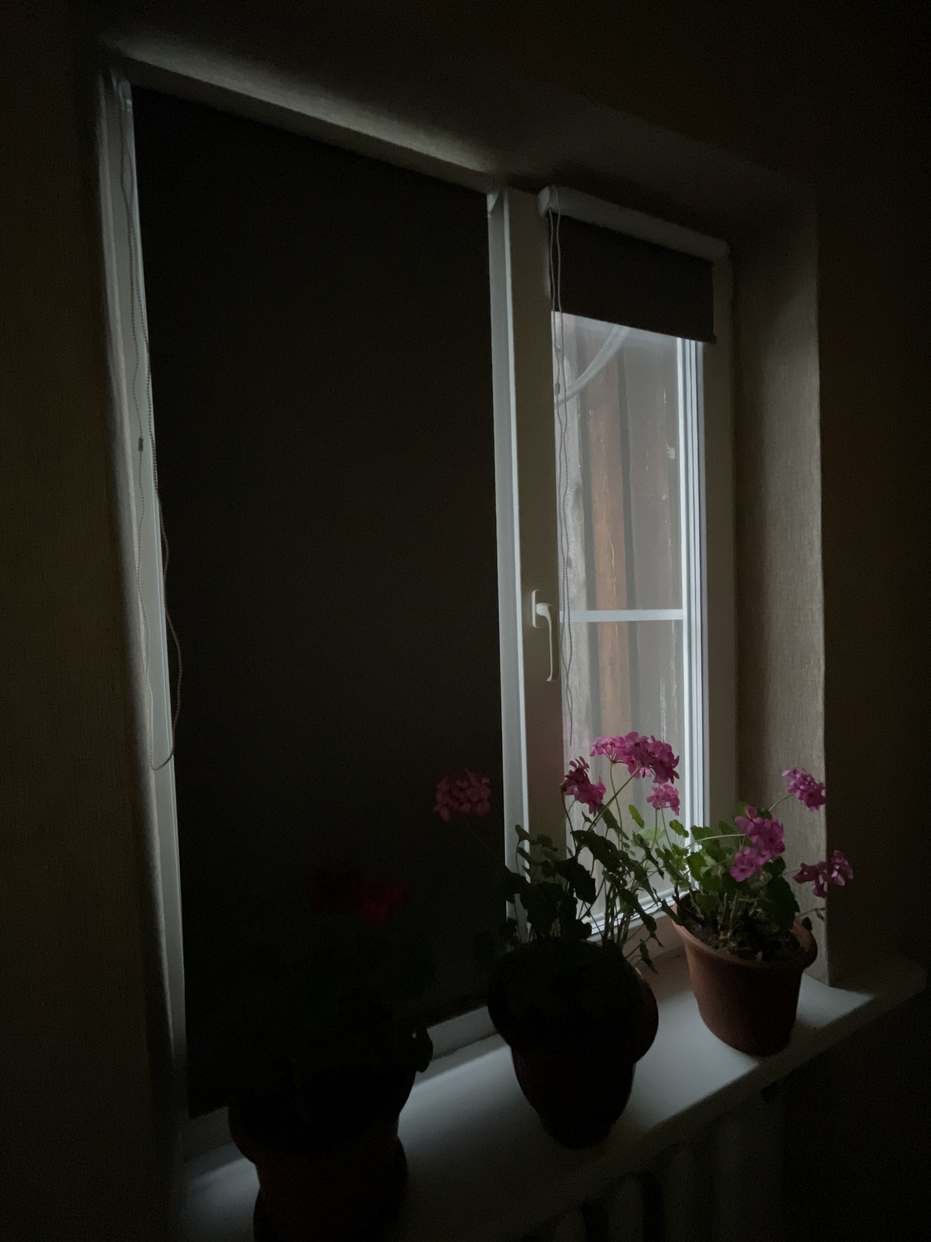 Фотография покупателя товара Рулонная штора Blackout LUX, 62х170 см, цвет графит - Фото 3