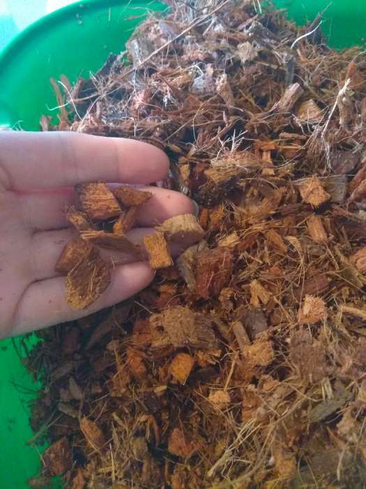 Фотография покупателя товара Субстрат Greengo кокосовые чипсы, натуральный грунт для террариумов и растений, в брикете, 5 л при разбухании - Фото 7