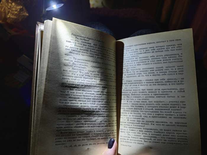Фотография покупателя товара Фонарь-лампа "Мастер К", с закладкой для чтения книг, LR41 - Фото 1