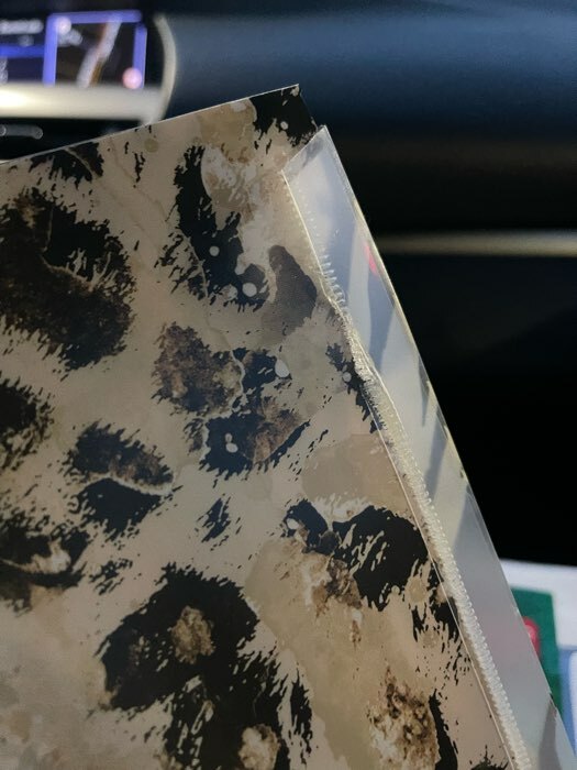 Фотография покупателя товара Папка-конверт на кнопке А4, 160 мкм, ErichKrause, Wild Cat, полупрозрачная, глянцевая, с принтом - Фото 3