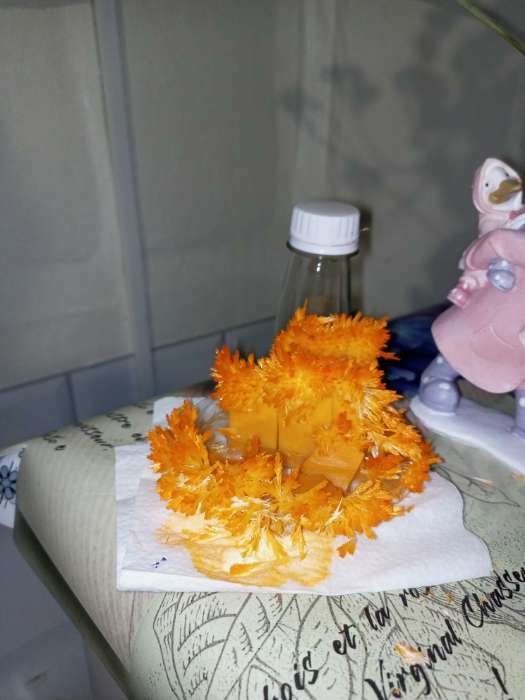 Фотография покупателя товара Набор для выращивания кристалла «Опыты. Лучистые кристаллы», цвет оранжевый - Фото 2
