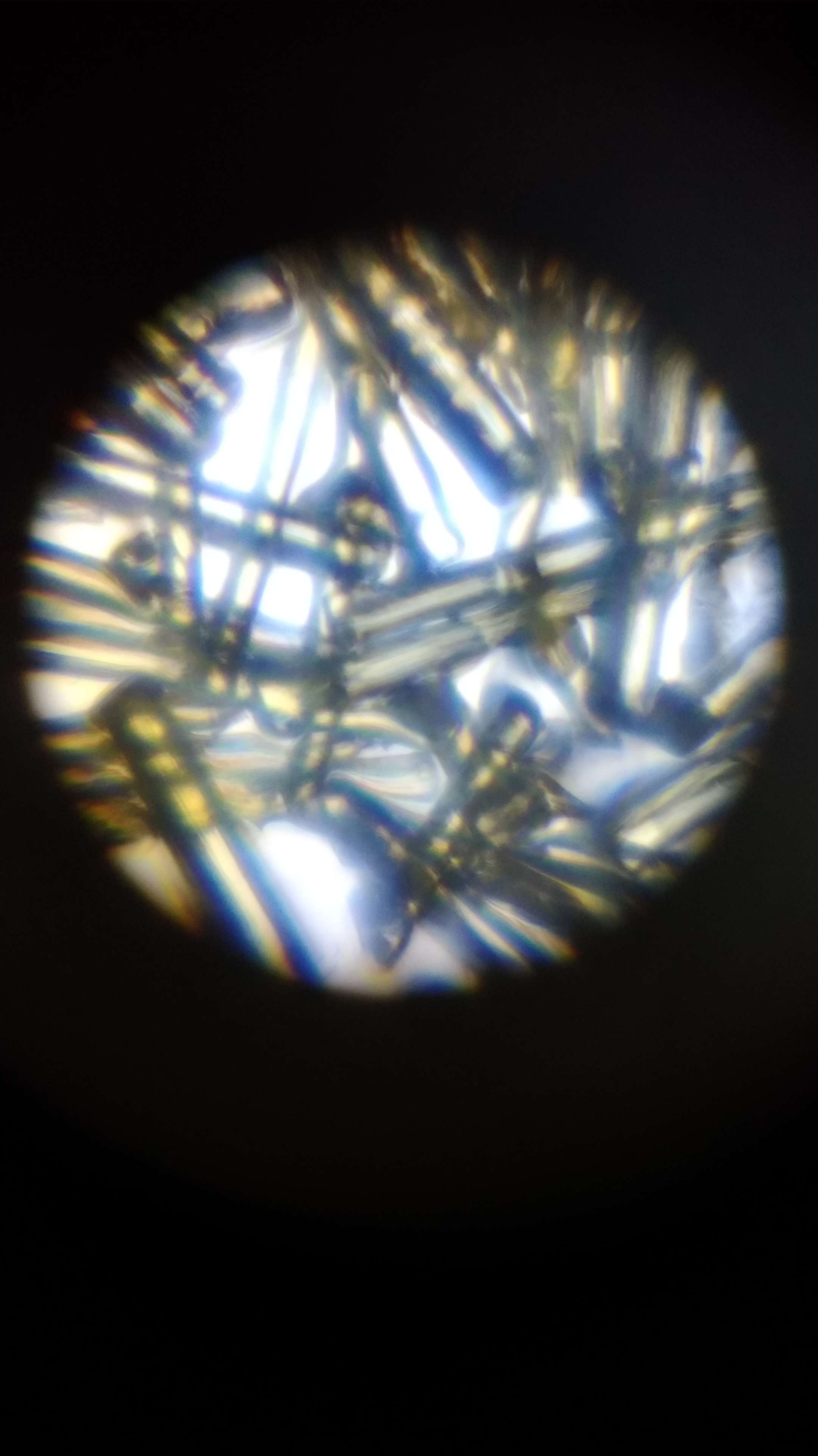 Фотография покупателя товара Микроскоп "Юный исследователь", кратность увеличения 1200х, 400х, 100х, с подсветкой - Фото 10
