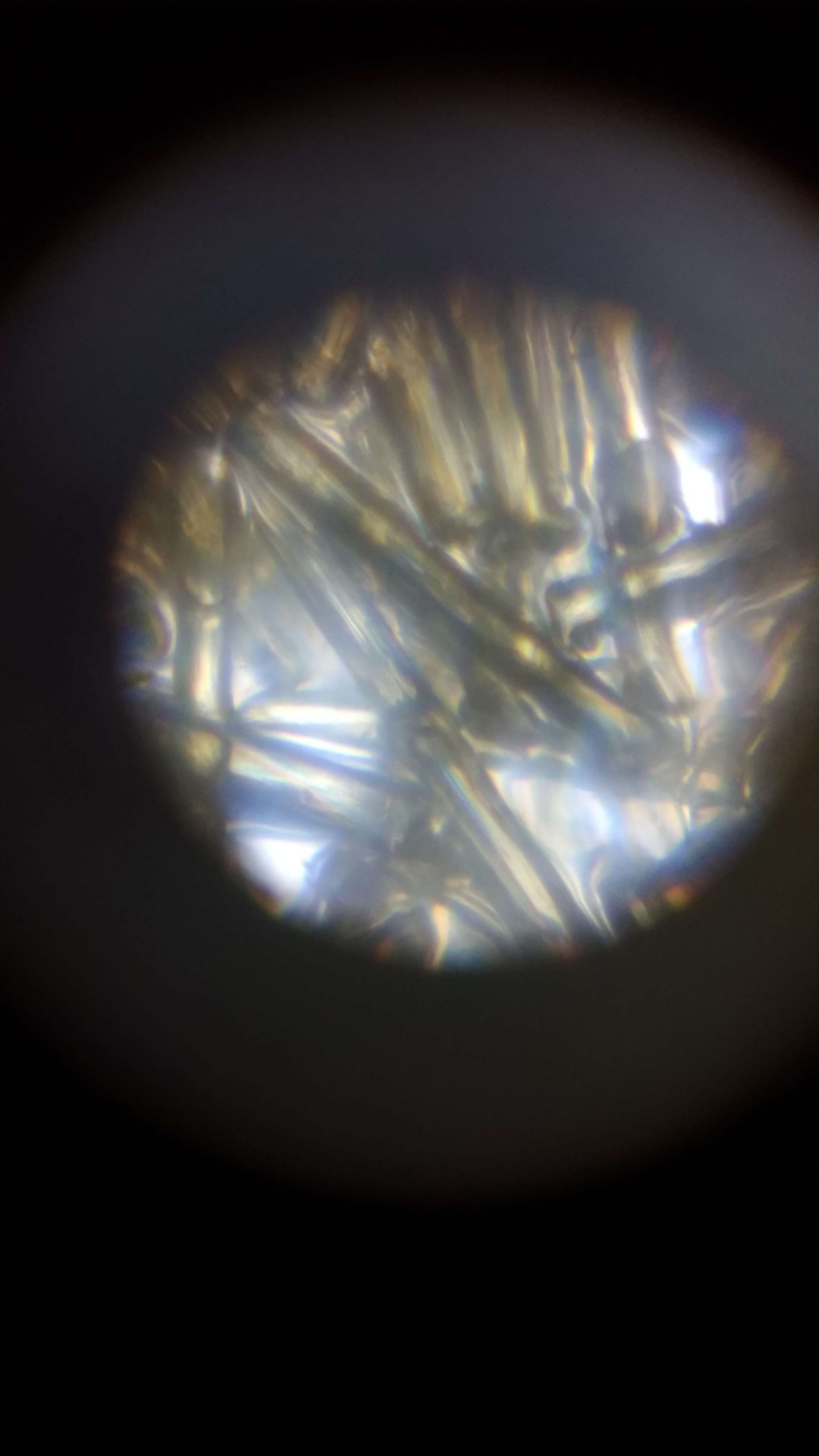 Фотография покупателя товара Микроскоп "Юный исследователь", кратность увеличения 1200х, 400х, 100х, с подсветкой - Фото 11