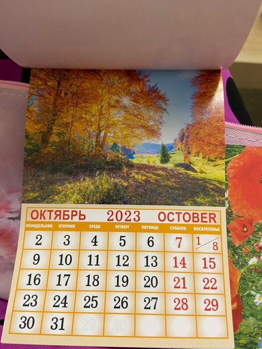 Фотография покупателя товара Календарь отрывной на магните "Природа" 2023 год, 13х9,5см, ручей - Фото 1