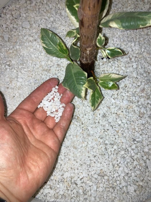 Фотография покупателя товара Мраморный песок "Рецепты Дедушки Никиты", отборная, белая, фр 2,5-5 мм , 5 кг