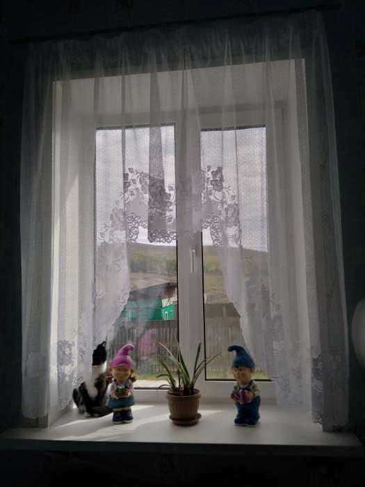 Фотография покупателя товара Тюль на кухню со шторной лентой, 285х160 см, цвет белый, 100% полиэстер - Фото 1