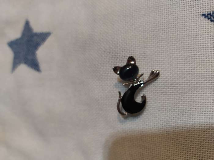 Фотография покупателя товара Брошь «Кошечка» с бантом, цвет чёрный в серебре - Фото 1
